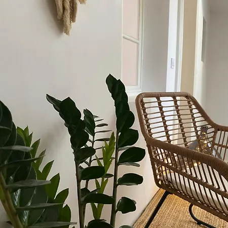 Le 1853 Bed and breakfast Narbona